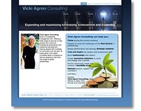 Vicki Agron Consulting